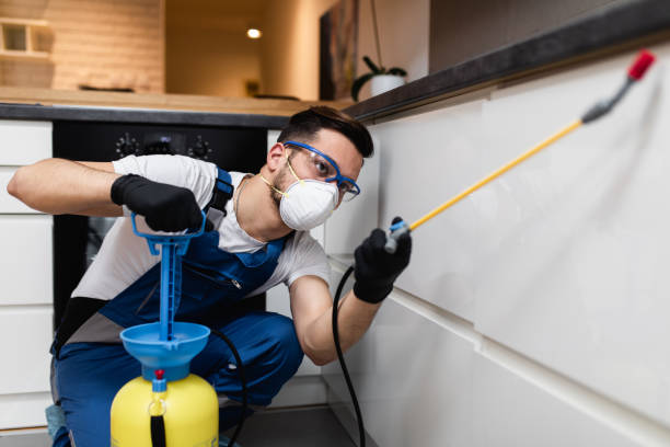 Best Pest Removal Services  in Inglewood, CA