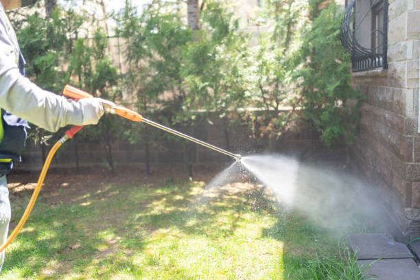 Flea Control Services in Inglewood, CA
